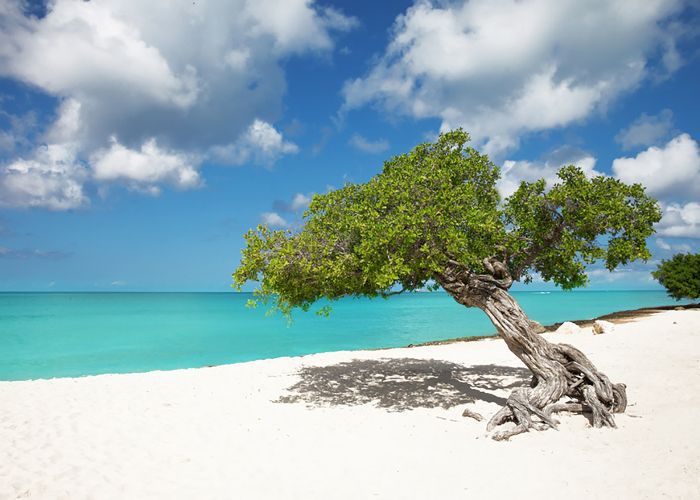 12月温暖的地方-阿鲁巴