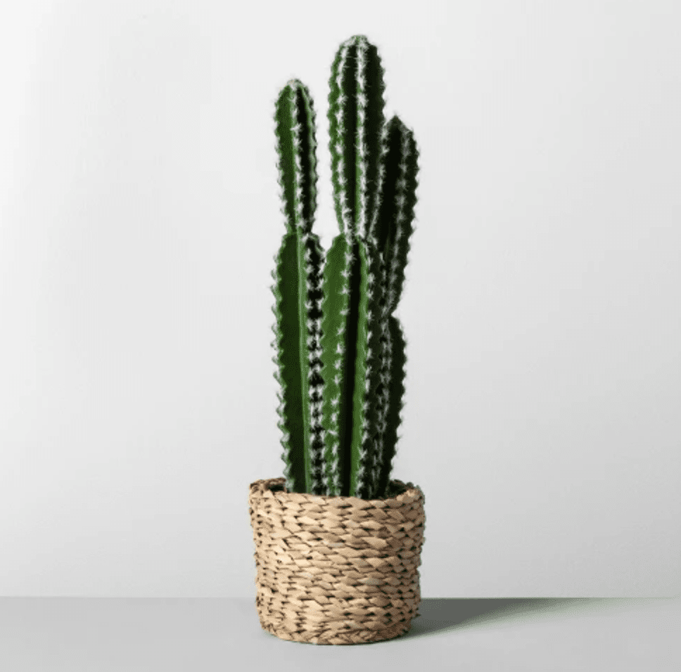 人造目标仙人掌