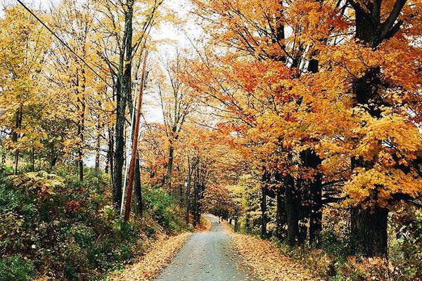 真正的幽灵故事