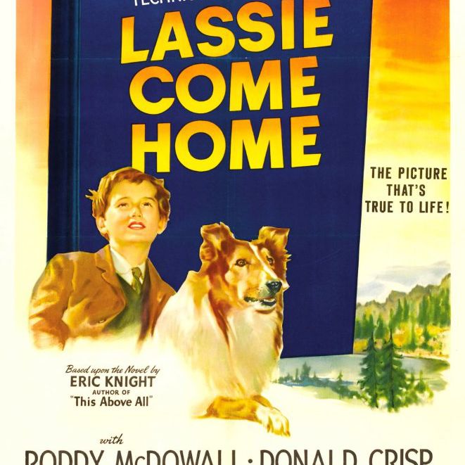 《灵犬莱西》电影