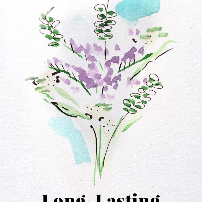 斯蒂芬妮·德安吉里斯原创插图5