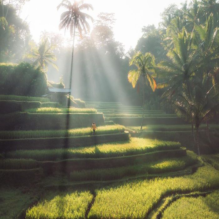 温暖的地方参观冬季期间