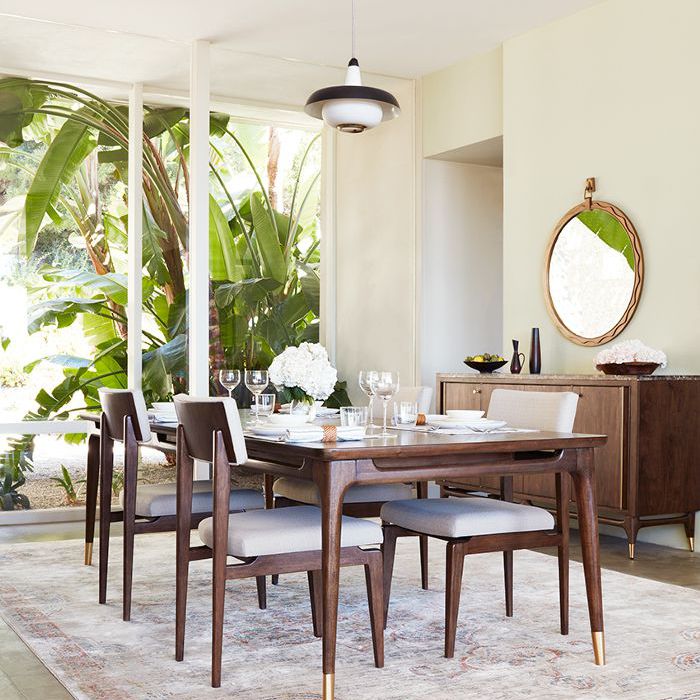 艾伦·德杰尼勒斯