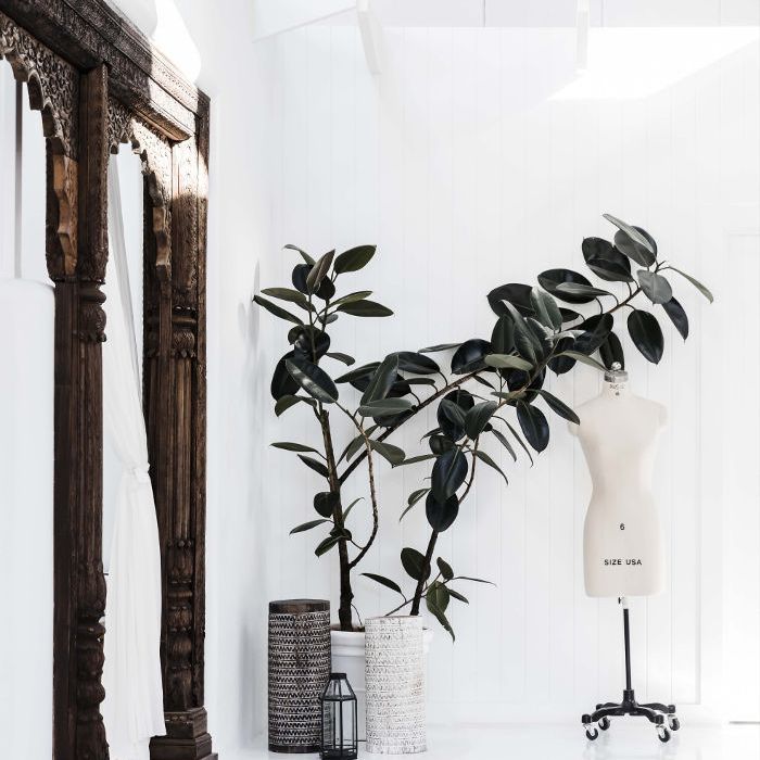 咒语和吉普赛集体的办公室