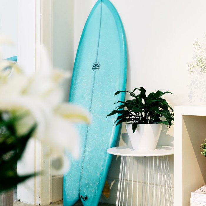 在一个装饰着盆栽植物的房间的角落里放着一块冲浪板