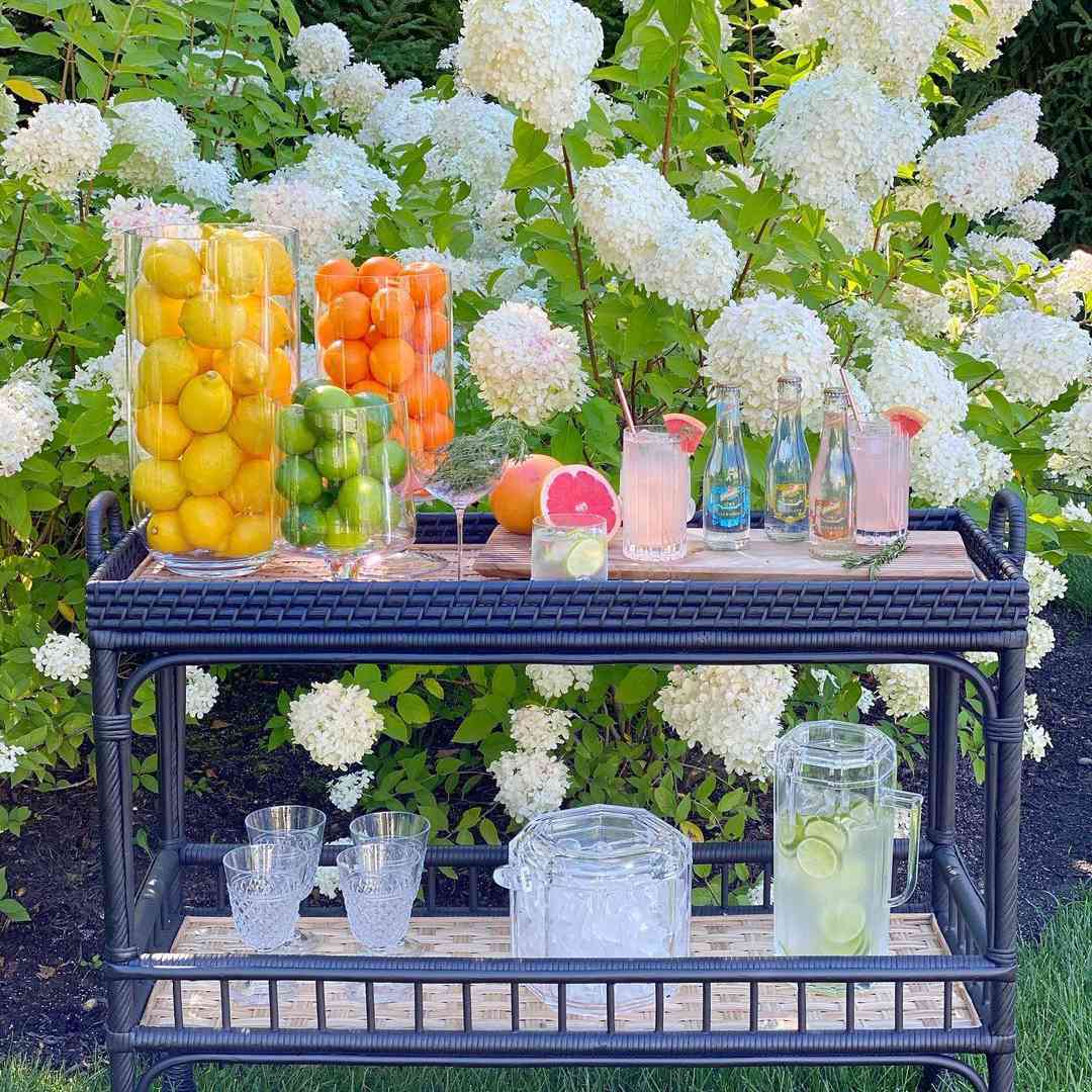 海军酒吧推车用水果