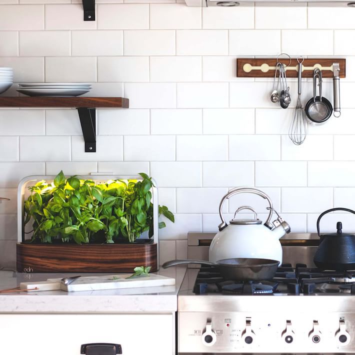 厨房里有个小花园