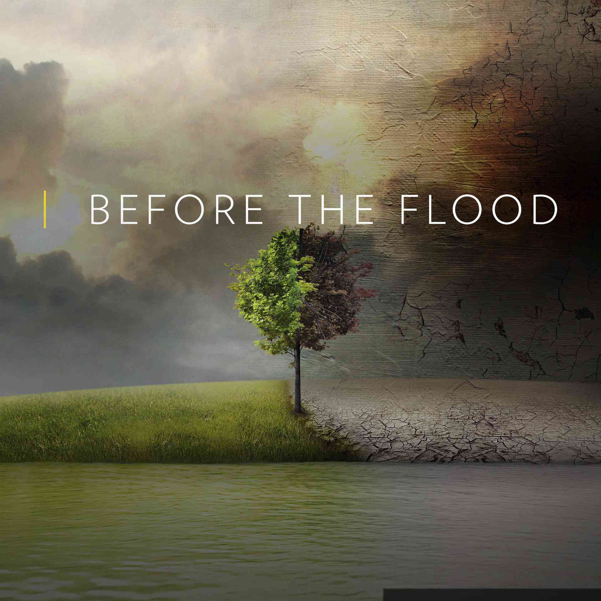 在洪水到来之前