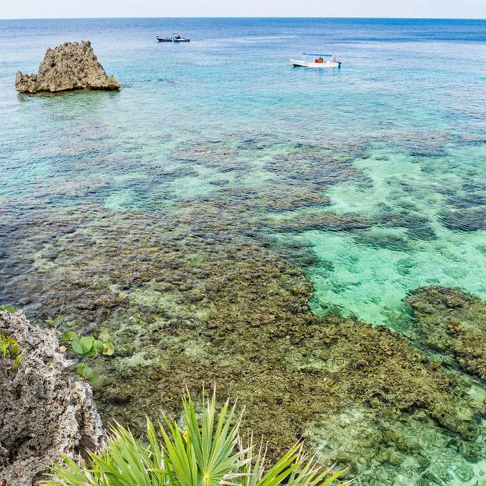 洪都拉斯的珊瑚礁。“class=