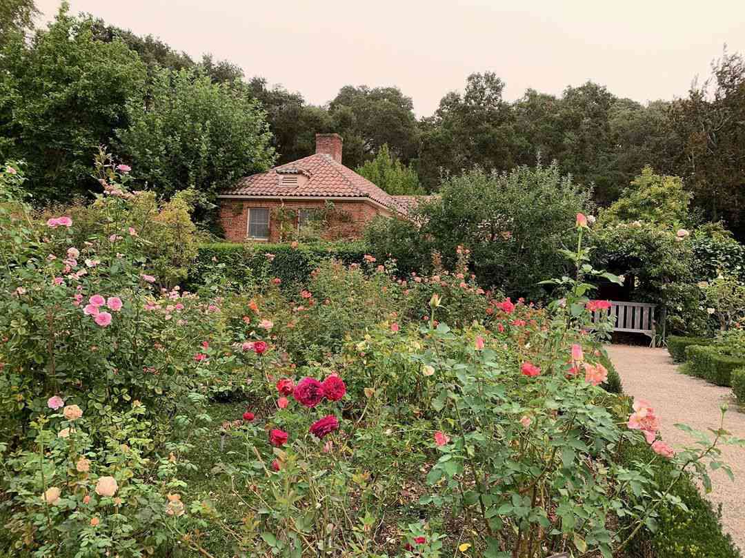 大的玫瑰花园，有许多品种的玫瑰。