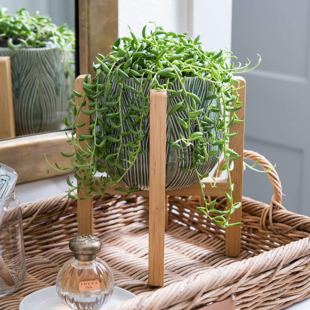 压花机座插秧机