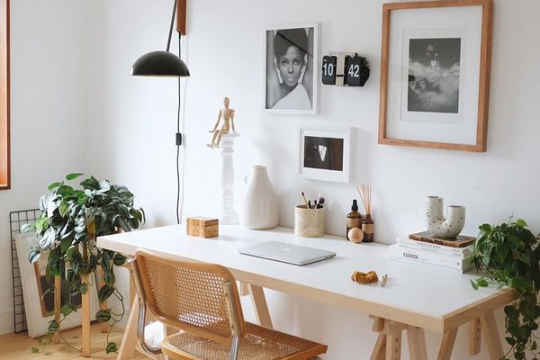 办公室用天然树林。