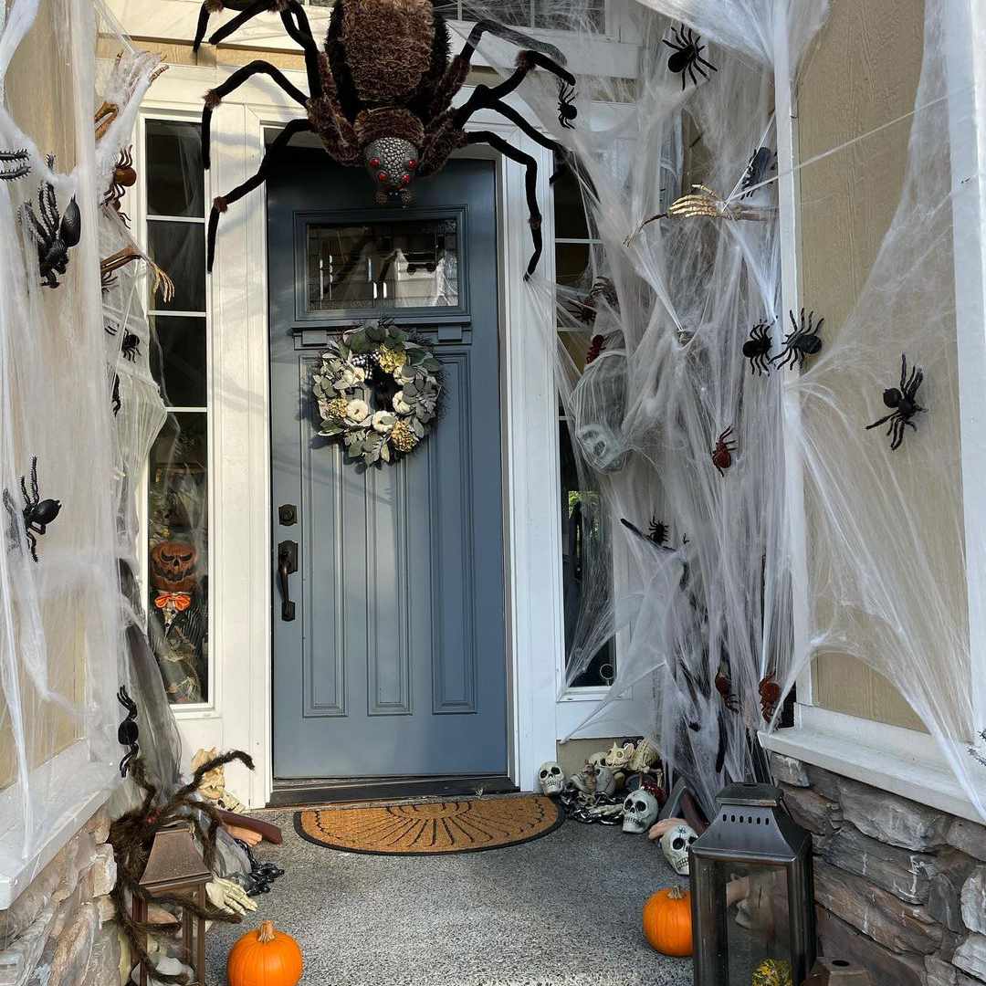 有大蜘蛛的房子