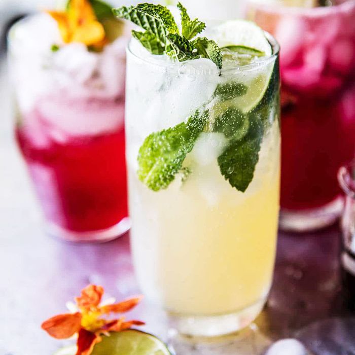 红茶菌Mojitos