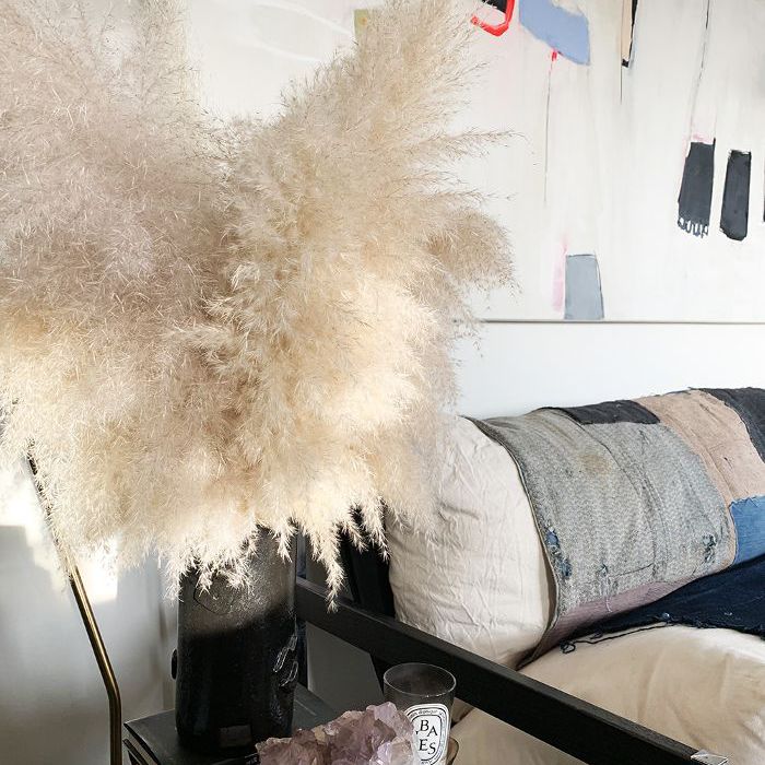 潘帕斯草厂走势