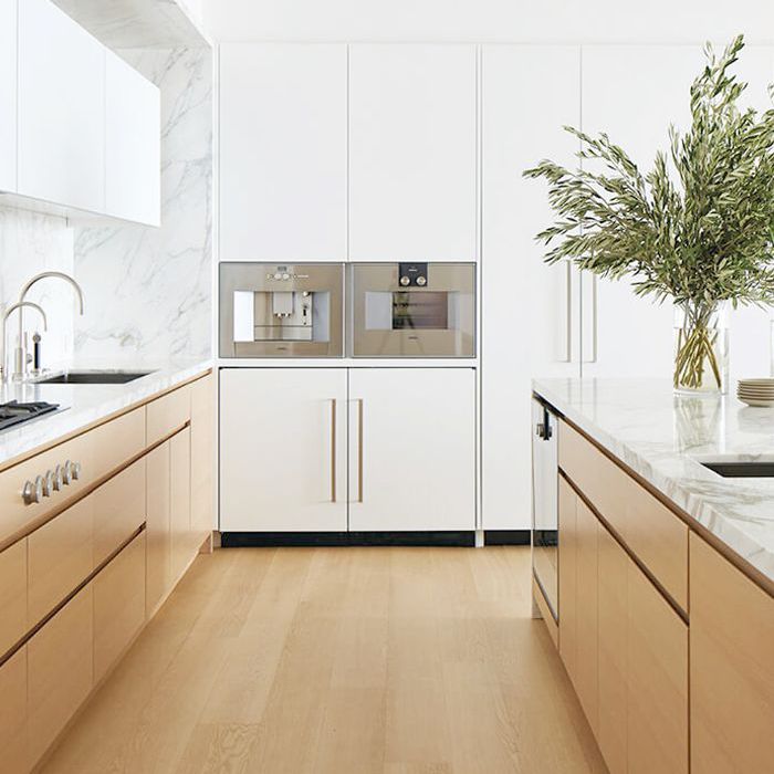 豪华的厨房用内置隐藏家电