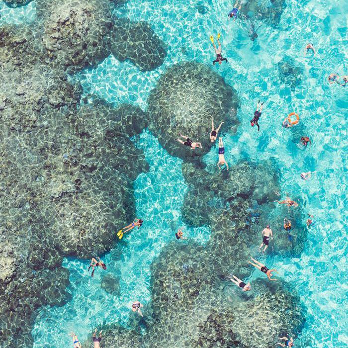 灰马林最好的海滩:波拉波拉岛