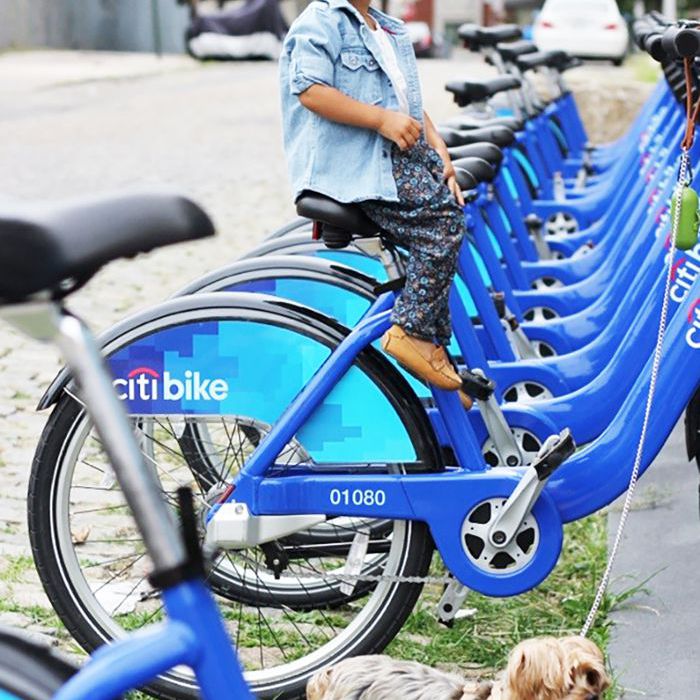 一个骑自行车的女孩和一条拴着狗的狗