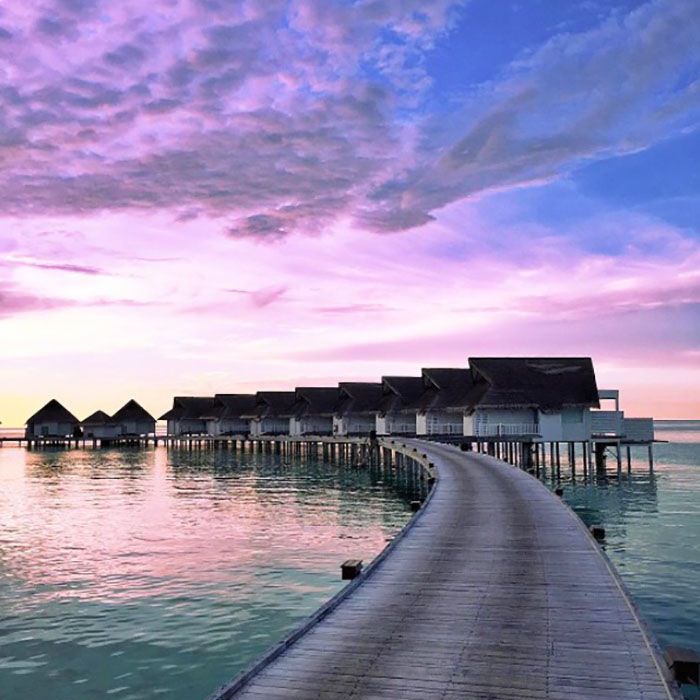 最佳的Instagram账户