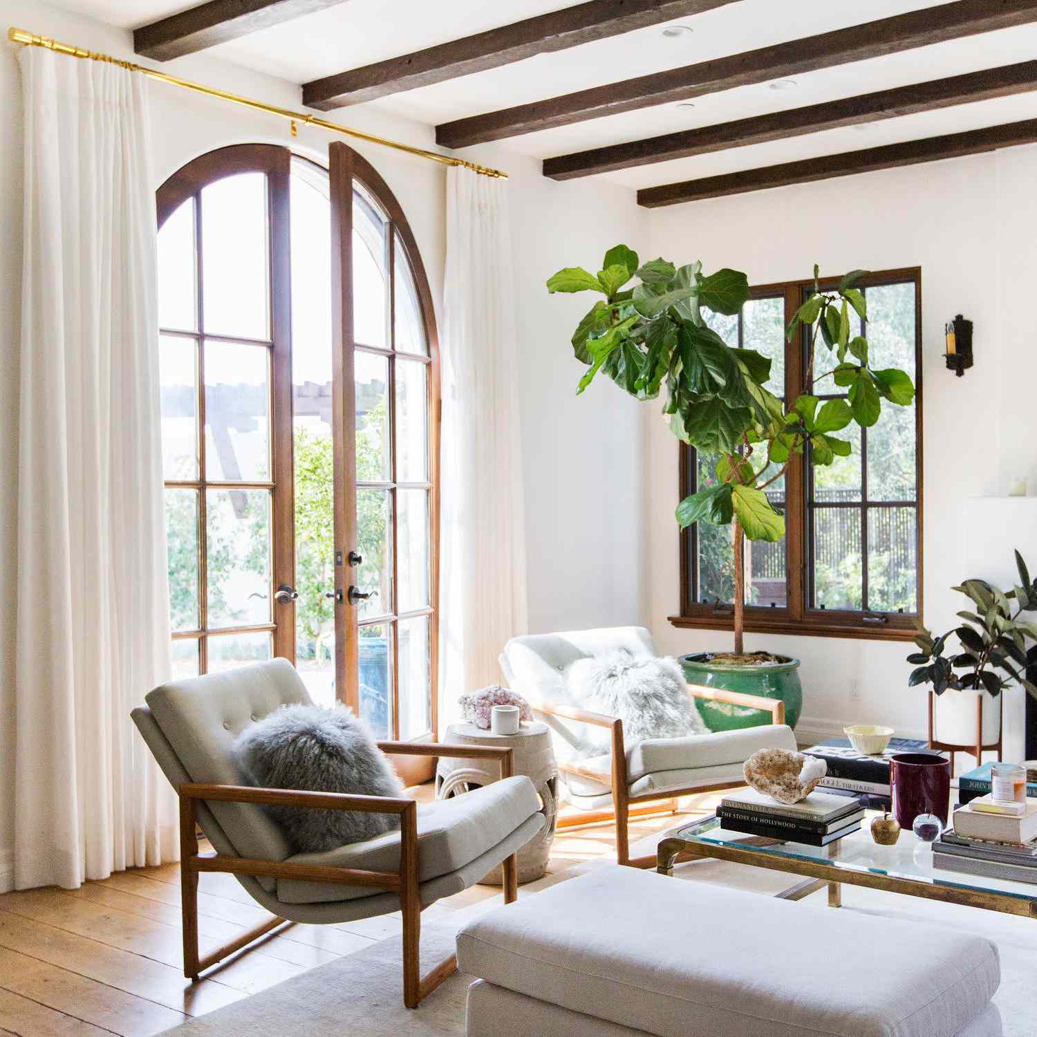 充满植物的通风的客厅