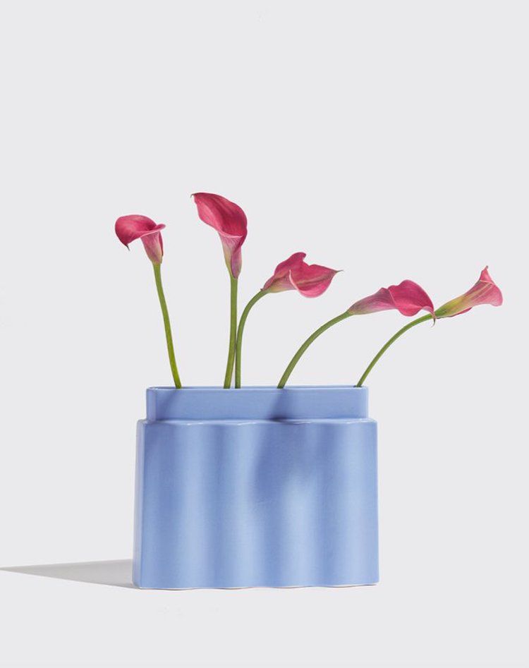 一个浅蓝色花瓶，其中几朵花