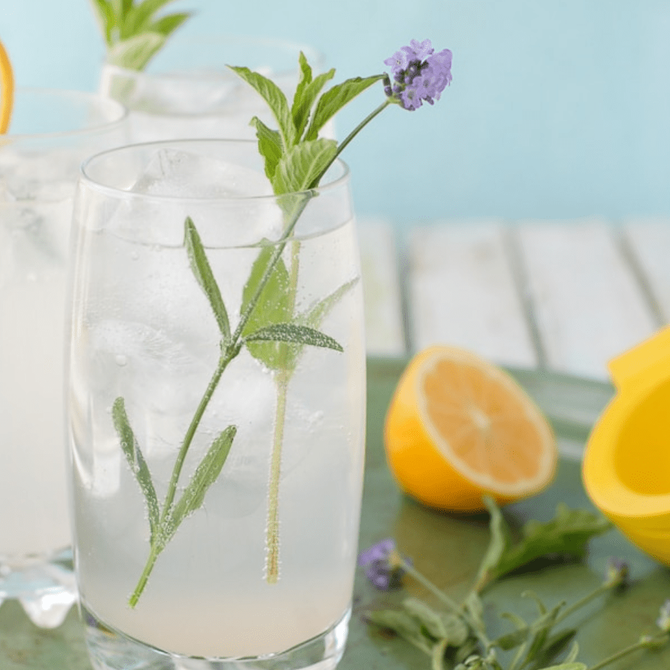 梅耶柠檬和薰衣草莫吉托