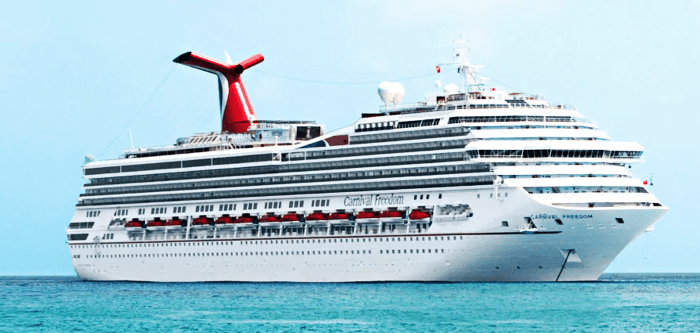 巡游新年-嘉年华会