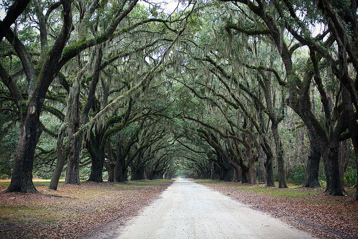 亚特兰大浪漫的周末度假