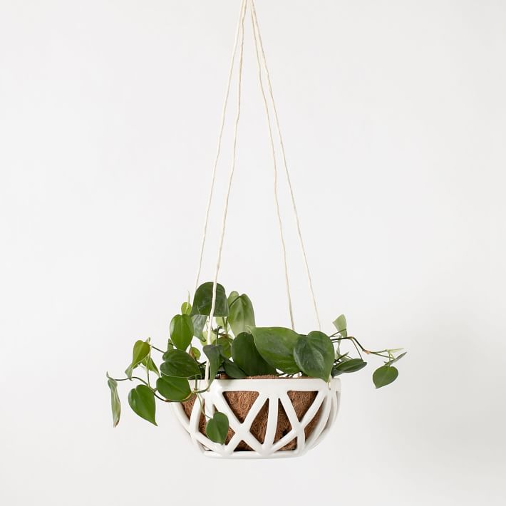 欢乐的XX悬挂花盆