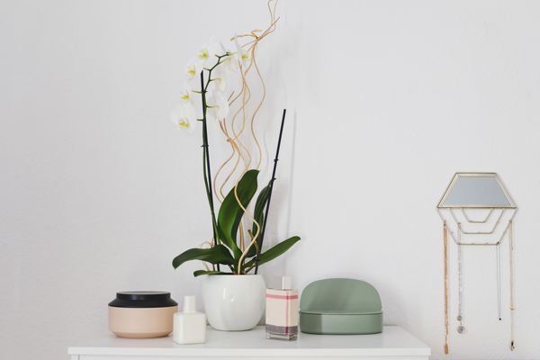 与波西米亚风情的梳妆台兰花植物