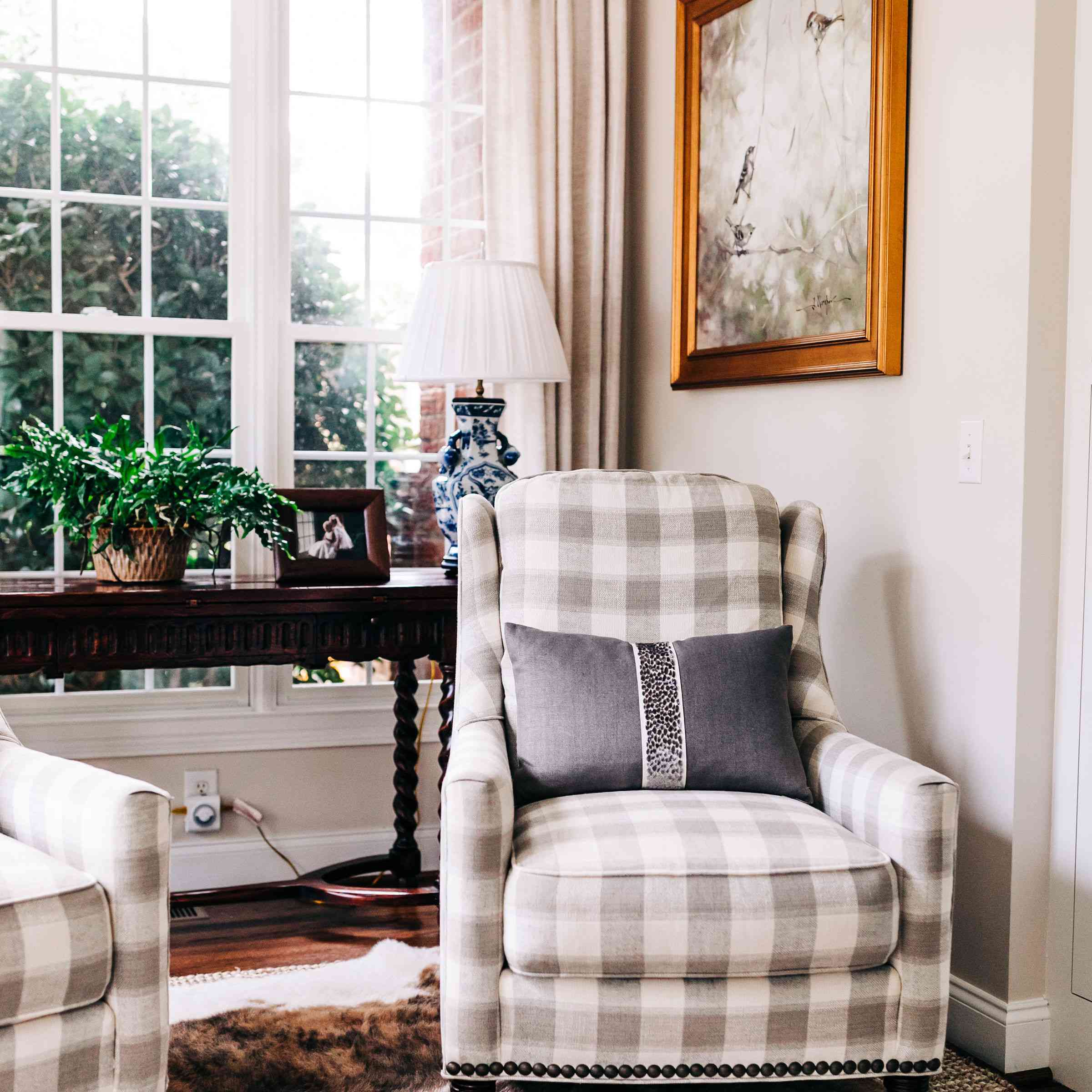 带有蕨类植物的起居室阅读角。