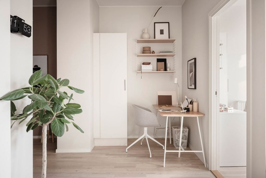 Ficus Audrey站在斯堪的纳维亚风格的房间里。