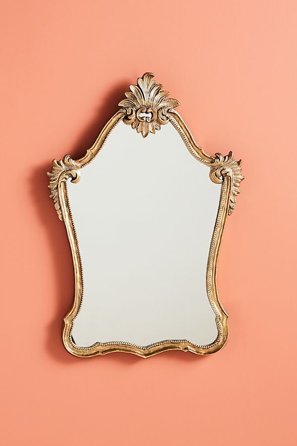 佩内洛普弓形镜