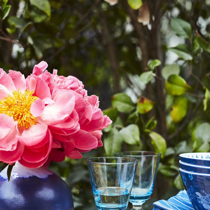 Mindy Kaling的后院设置