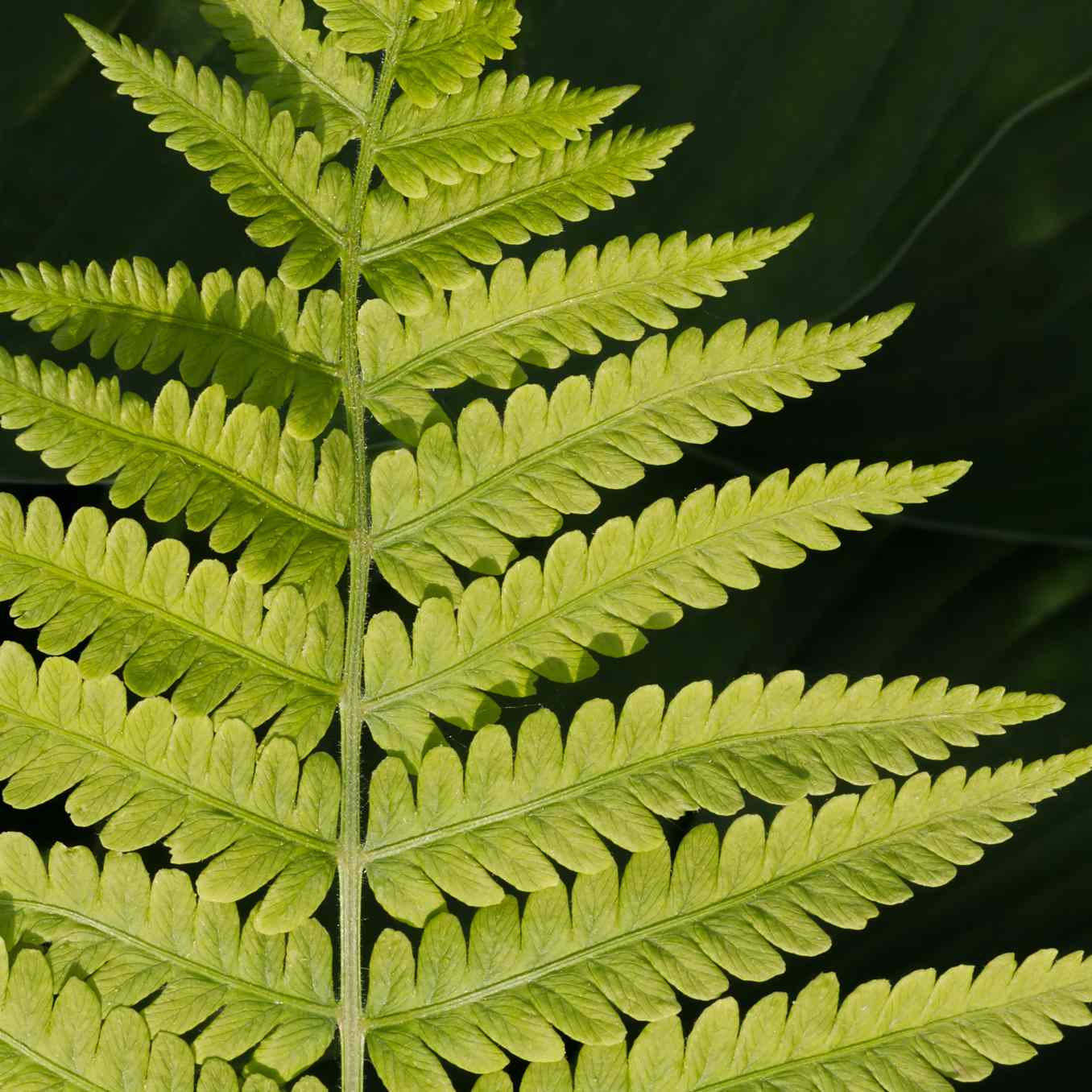 盖蒂图片社/ KENNETH_KEIFER