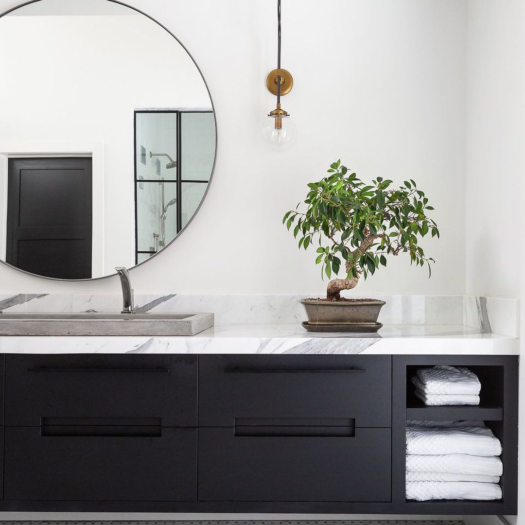 盆景在浴室柜台上