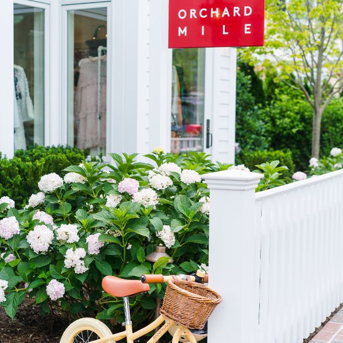 玛莎葡萄园里的事——果园里的事”class=