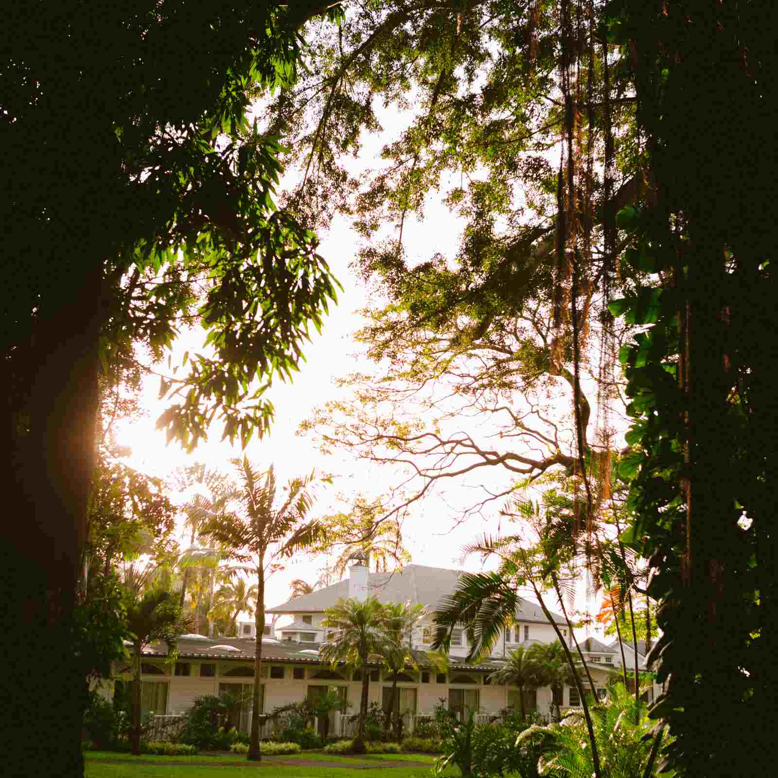 俳句屋子的外墙