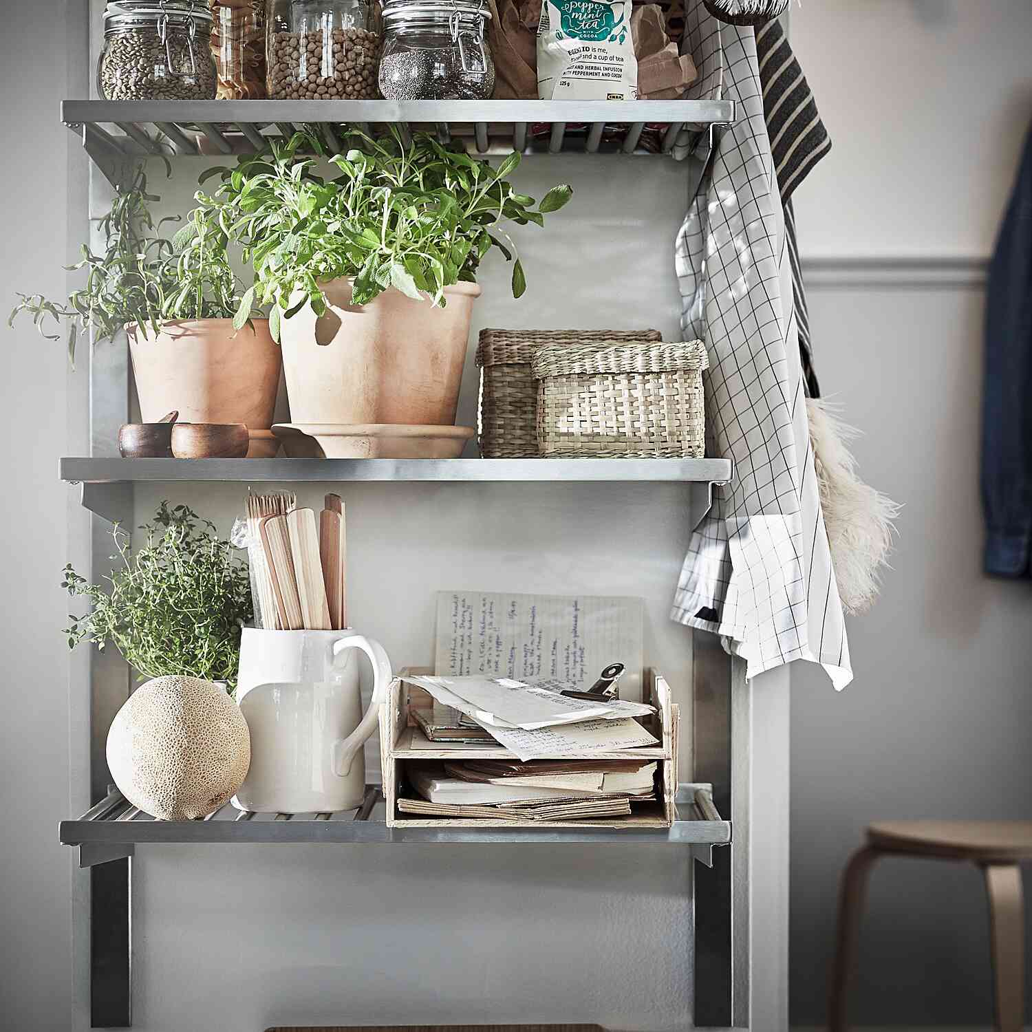 Muskotblomma植物罐