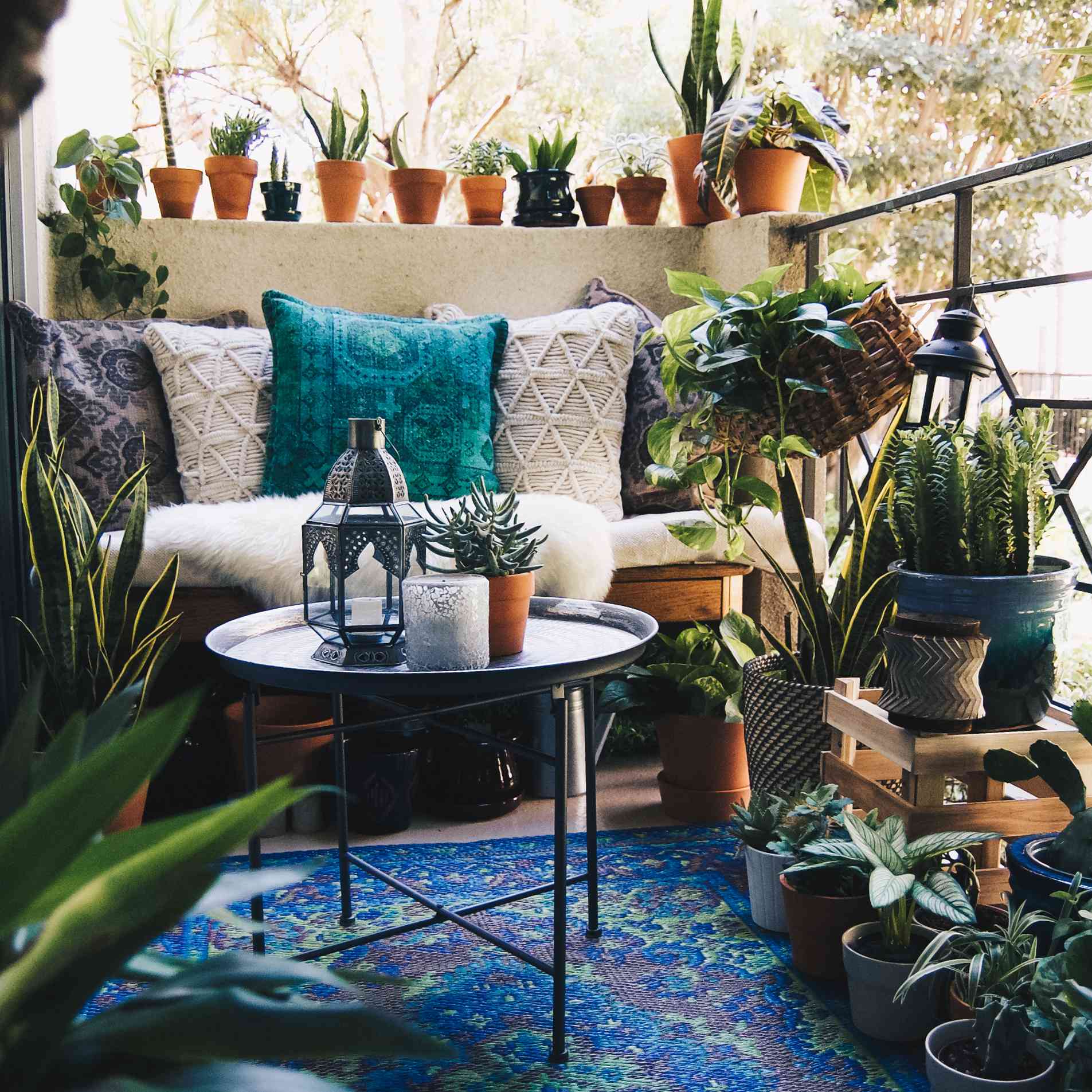 阳台上装饰着蓝色印花地毯、几个抱枕和许多植物