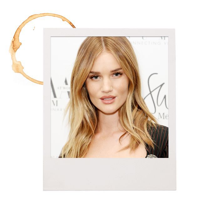 模型的上午例程