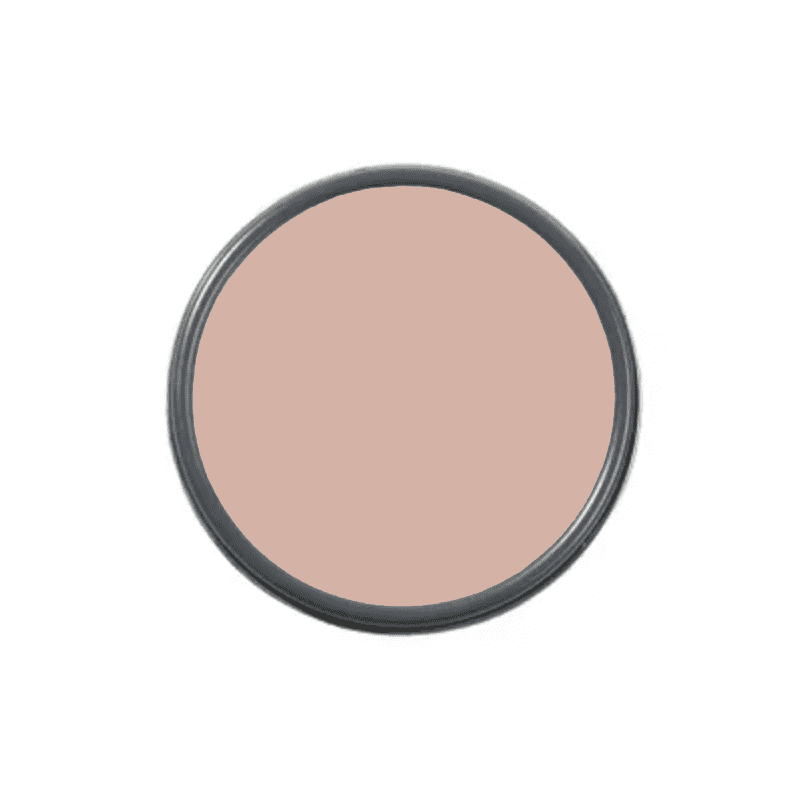 一个涂料的开销射击可以用腮红涂料