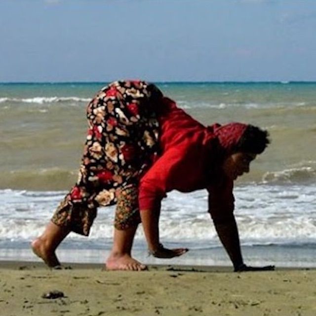 家族，四肢着地行走