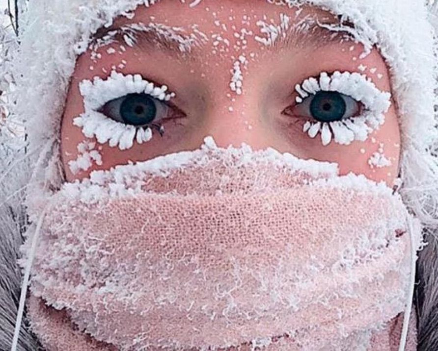 生活在地球上最冷的地方