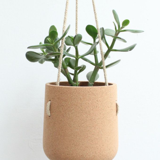 阿特拉斯挂播播种机