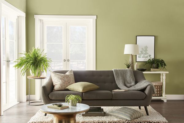 绿色墙壁和灰色沙发的客厅