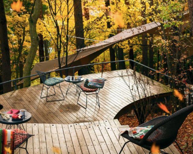 HOSHINOYA富士数码德克斯撤退