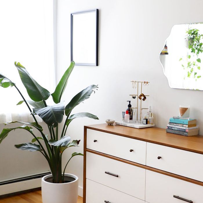 在凯尔西·克拉克的公寓梳妆台