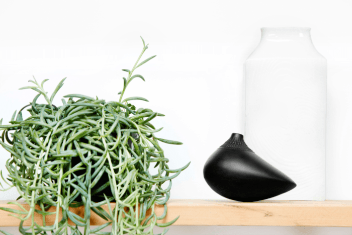 货架装饰有Etsy的作品