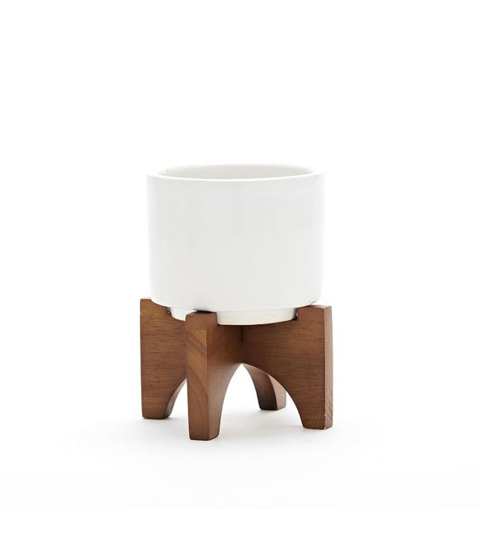 西榆树上世纪中叶开始种植桌腿